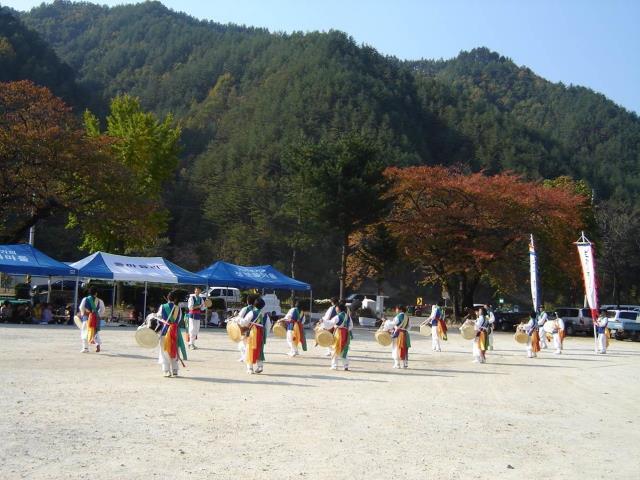 2008 삼척가시오가피축제 풍물패 썸네일 이미지