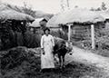 선단동 농가의 옛 모습(박옥성님 집 앞, 1960년대) 썸네일 이미지