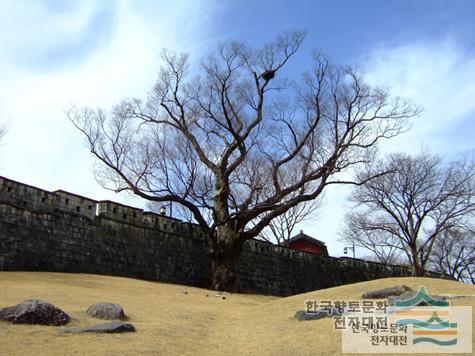 대표시청각 이미지