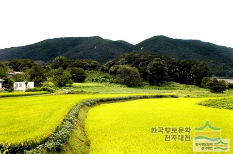 대표시청각 이미지