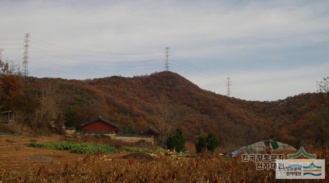 대표시청각 이미지