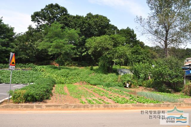 대표시청각 이미지