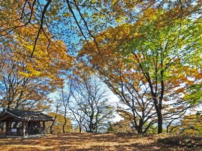 오티마을 상당과 수비 썸네일 이미지