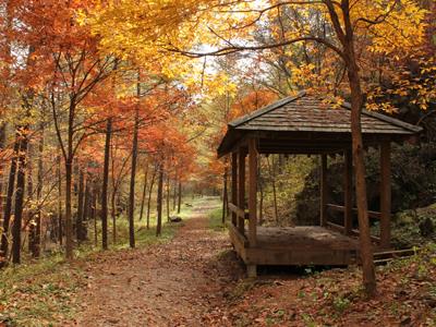 덕동산림욕장 산책로 썸네일 이미지