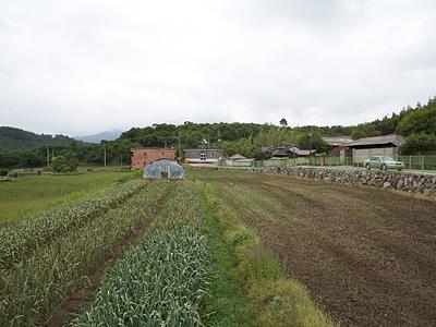 박달리 유물 산포지 썸네일 이미지