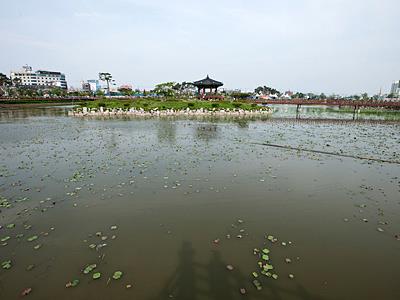 중앙호수공원 팔각정 썸네일 이미지