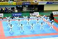 2012년 포천 세계 태권도 대회 태권도 시범 썸네일 이미지