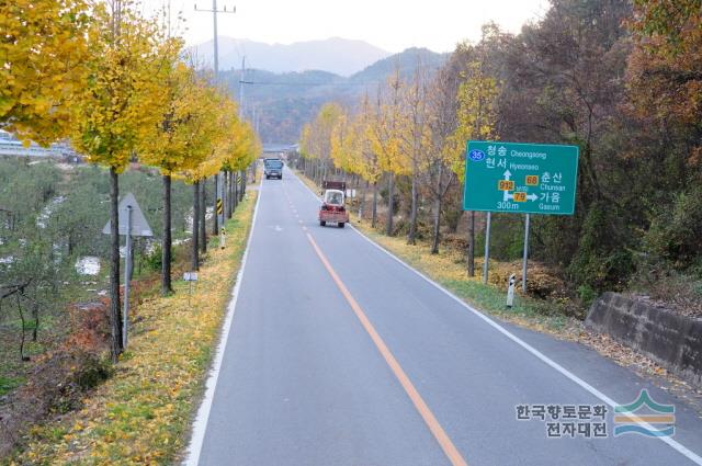 대표시청각 이미지