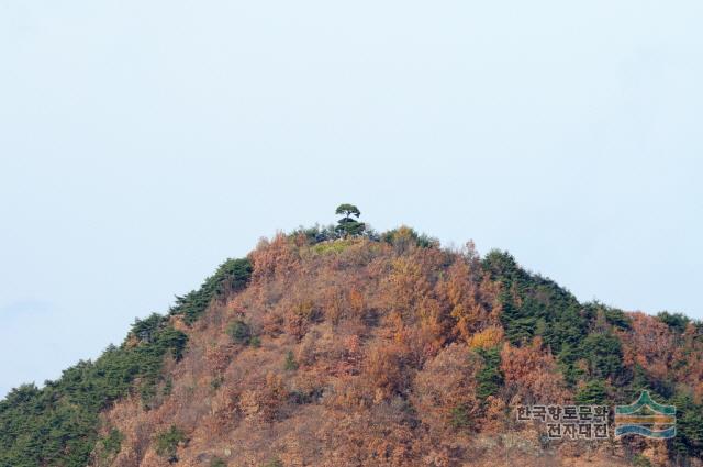 대표시청각 이미지