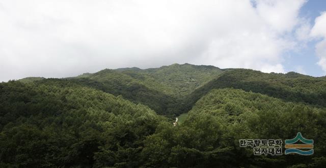 대표시청각 이미지