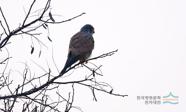 대표시청각 이미지