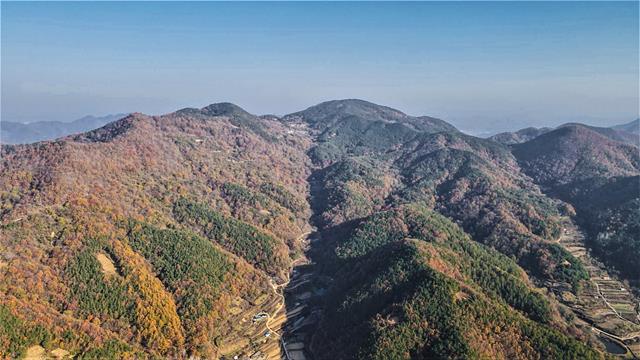 대표시청각 이미지